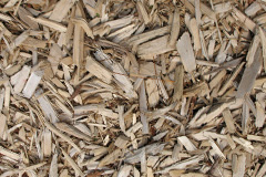 biomass boilers Sawtry